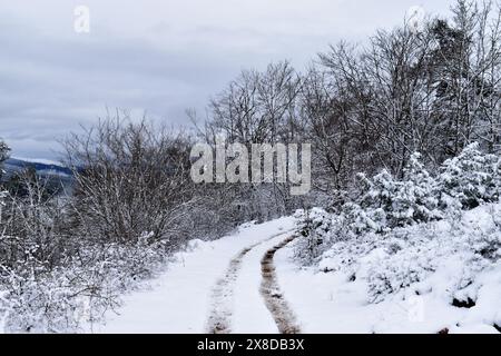 Marques de pneus sur la neige dans un paysage enneigé Banque D'Images