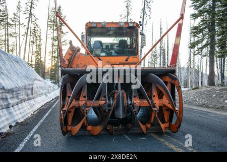 Camion de souffleuse à neige robuste utilisé pour défricher les routes en hiver et les conditions de neige glacée dans un parc national de Californie. Banque D'Images