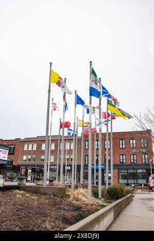 Drapeaux provinciaux et territoriaux flottant au centre-ville de Charlottetown, Île-du-Prince-Édouard, Canada Banque D'Images