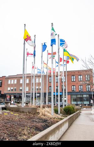 Drapeaux provinciaux et territoriaux flottant au centre-ville de Charlottetown, Île-du-Prince-Édouard, Canada Banque D'Images