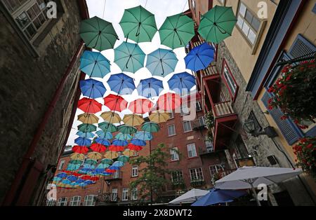 Parapluies colorés de Rue du Cul-de-sac, ville de Québec, Canada Banque D'Images