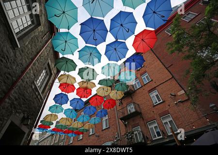 Parapluies colorés - Rue du Cul-de-sac, ville de Québec, Canada Banque D'Images