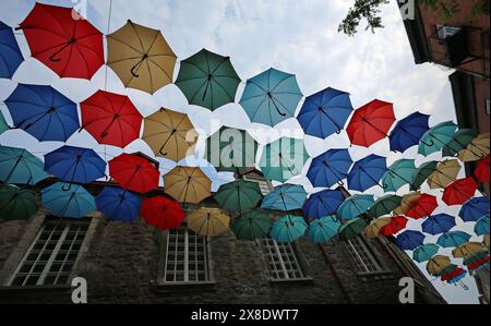 Parapluies composition - Rue du Cul-de-sac, Québec, Canada Banque D'Images