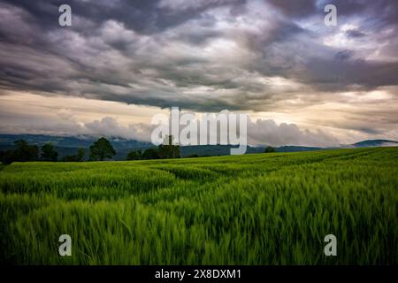 rhön, paysage, nuages, brouillard, champ, tempête, météo, paysage, nature, prévisions météorologiques, bulletin météo, fond d'écran Banque D'Images