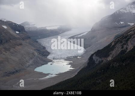 Le glacier Saskatchewan court du champ de glace Columbia, le plus grand champ de glace des montagnes Rocheuses nord-américaines Banque D'Images