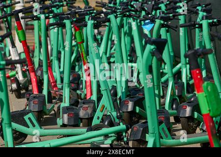 Bucarest, Roumanie. 24 mai 2024 : les scooters électriques BOLT sont mal garés bloquant l'accès sur un trottoir à Bucarest. Banque D'Images