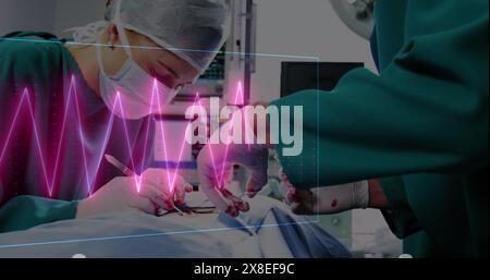 Image d'un moniteur de fréquence cardiaque sur une équipe de chirurgiens divers effectuant une opération à l'hôpital Banque D'Images