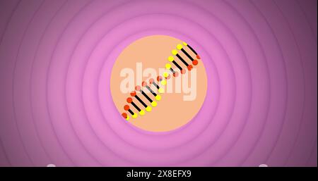 Image d'une structure d'adn en rotation sur des cercles concentriques sur fond violet Banque D'Images