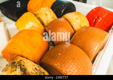 Fromage de différentes variétés et couleurs. Beaucoup de morceaux de fromage, des têtes de fromage à pâte dure. Foyer sélectionné. Photo de haute qualité Banque D'Images