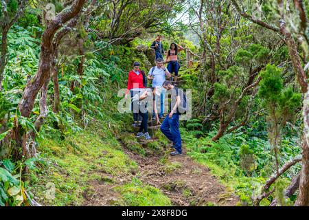 Marcheurs se dirigeant vers Fajãs de Santo Cristo sur le sentier PR1. São Jorge Island-Açores-Portugal.5-5-2024 Banque D'Images