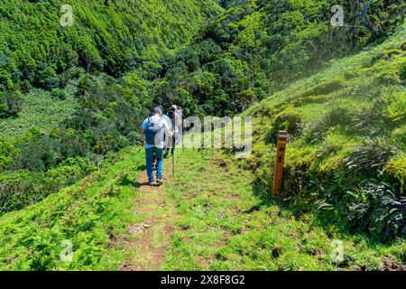 Marcheurs se dirigeant vers Fajãs de Santo Cristo sur le sentier PR1. São Jorge Island-Açores-Portugal.5-5-2024 Banque D'Images
