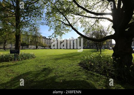 Vue sur le jardin du Trinity College Dublin au printemps Banque D'Images