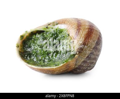 Un délicieux escargot cuit isolé sur blanc Banque D'Images