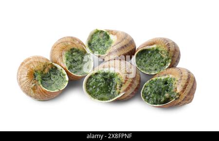 Beaucoup de délicieux escargots cuits isolés sur blanc Banque D'Images