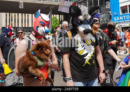 Birmingham centre-ville, 25 mai 2024 - des dizaines de milliers de visiteurs se sont entassés dans les rues de Birmingham pour assister à la procession DE LA FIERTÉ dans les rues. L'événement annuel apporte couleur et joie à la ville des West Midlands. L'événement a lieu avant la FIERTÉ DE Londres et de Brighton, généralement le jour férié du printemps. Crédit : arrêtez Press Media/Alamy Live News Banque D'Images