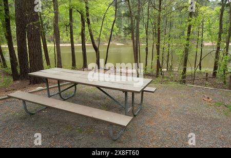 Vue reposante depuis un banc de pique-nique vide dans une zone de camping boisée surplombant l'eau du lac Jordan en Caroline du Nord. Banque D'Images