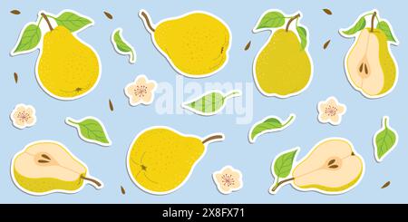 Ensemble d'autocollants de poire colorés dessinés à la main, fruits entiers et coupés, fleurs, feuilles. Stickers de style plat tendance pour étiquettes, affiches, web. Poires juteuses mûres. Nourriture biologique végétarienne. Illustration vectorielle Illustration de Vecteur
