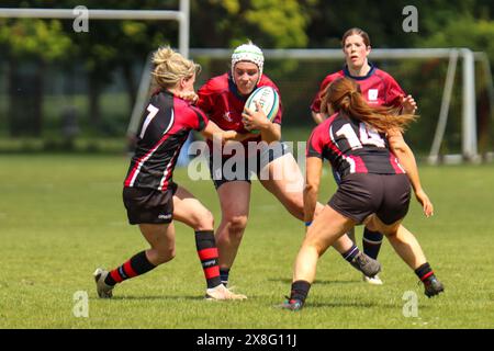 Londres, Royaume-Uni. 25 mai 2024. Camberley Rugby Club, Surrey, 25 mai 2024: Abbey Brassey (4 Surrey CB Women et Sutton et Epsom) se lance dans le match entre Surrey CB Women et Buckinghamshire RFU (CB) Women dans la Gill Burns Division 1 (Poule 2) au Camberley Rugby Club, Surrey le samedi 25 mai 2024 (Claire Jeffrey/SPP) crédit : SPP Sport Press photo. /Alamy Live News Banque D'Images