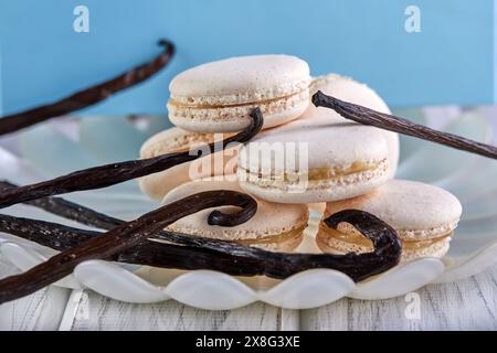 Une pile de macarons colorés s’assoit à côté de fèves de vanille parfumées sur une assiette, ressemblant à un morceau de produit comestible La couleur bleu ciel des macarons apporte Banque D'Images