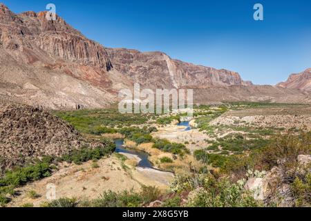 La bande verte de la rivière Rio Grande qui mène à travers le parc national de Big Bend, Texas États-Unis Banque D'Images