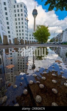Ville flaques reflets un jour pluvieux d'automne, Dusseldorf, Allemagne Banque D'Images