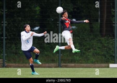 Haarlem, pays-Bas. 25 mai 2024. HAARLEM, 25-05-2024, Sportpark Spanjaardslaan, saison 2023/2024, football néerlandais Betnation Tweede Divisie. Jong Almere City FC joueur Tyrese Noslim pendant le match Koninklijke HFC - Jong Almere City crédit : Pro Shots/Alamy Live News Banque D'Images