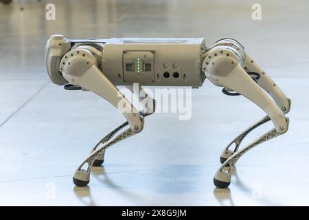 Chien robot militaire gris lors d'une démonstration Banque D'Images