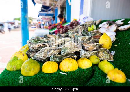 Huîtres et moules dans un petit magasin de fruits de mer à Oualidia au Maroc Banque D'Images