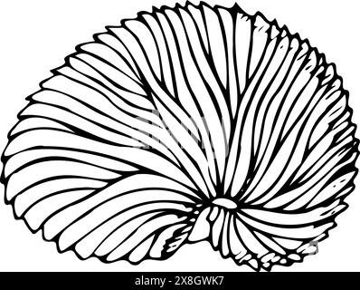 Illustration de la ligne de coquille d'oeuf Nautilus en papier Illustration de Vecteur