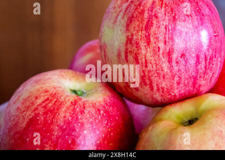 Présentoir Apple organique. Des pommes naturellement belles, excellentes pour les sujets alimentaires respectueux de l'environnement. Banque D'Images