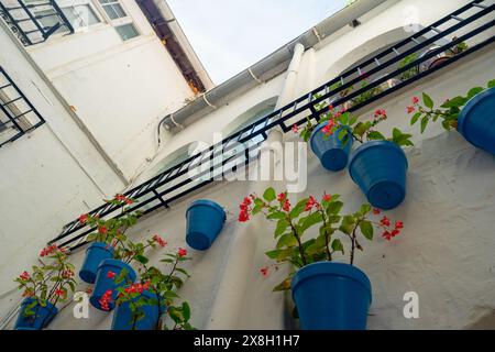 Marbella, Espagne - 6 septembre 2019 : maisons blanches décorées de pots de fleurs bleus Banque D'Images