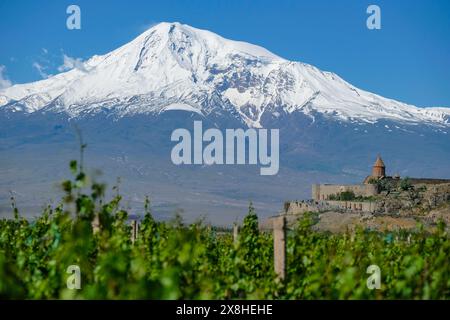 Lusarat, Arménie - 18 mai 2024 : vues du monastère Khor Virap avec le mont Ararat en arrière-plan en Arménie. Banque D'Images