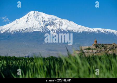 Lusarat, Arménie - 18 mai 2024 : vues du monastère Khor Virap avec le mont Ararat en arrière-plan en Arménie. Banque D'Images