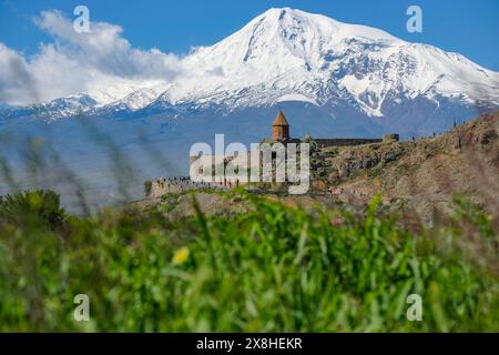 Lusarat, Arménie - 18 mai 2024 : vues du monastère Khor Virap avec le mont Ararat en arrière-plan en Arménie. Banque D'Images