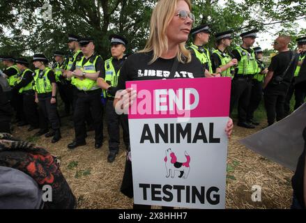 Huntingdon, Angleterre, Royaume-Uni. 25 mai 2024. Un manifestant tient une pancarte disant˜End animal Testing' devant une ligne de police, formée pour arrêter les manifestants qui approchent de la clôture de l'usine pendant la manifestation. Les manifestants exigent que la compagnie américaine, Marshal Bioresources (MBR) acres, une ferme d'élevage de beagle, qui fournit des chiots pour les laboratoires d'essais sur animaux ferme. Il y a près de trois ans, les manifestants ont mis en place le ''˜Camp Beagle'', un camp de protestation pour faire pression sur MBR, juste devant l'élevage de chiots. Crédit : ZUMA Press, Inc/Alamy Live News Banque D'Images