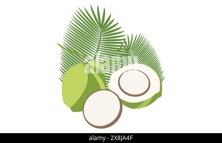 Green Coconut Vector et illustration Design. Illustration de Vecteur