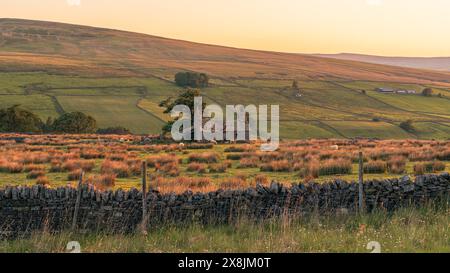 Paysage dans le Peak District près de Garrigill, Cumbria, Angleterre, Royaume-Uni Banque D'Images