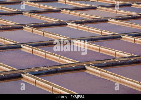 Vue extérieure des salines de Trinitat, à Punta de la Banya, dans le delta de l'Èbre (Tarragone, Catalogne, Espagne) ESP : Vista extérieur de las salinas Banque D'Images