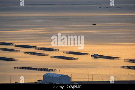 Ville de la Ràpita et baie d'Alfacs, dans le delta de l'Èbre, dans un lever de soleil rouge vu du point de vue de Guardiola (Tarragone, Catalogne, Espagne) Banque D'Images