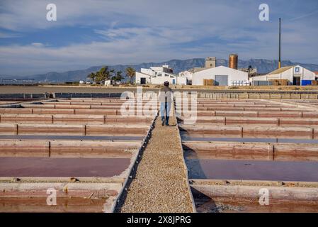 Vue extérieure des salines de Trinitat, à Punta de la Banya, dans le delta de l'Èbre (Tarragone, Catalogne, Espagne) ESP : Vista extérieur de unas salinas Banque D'Images