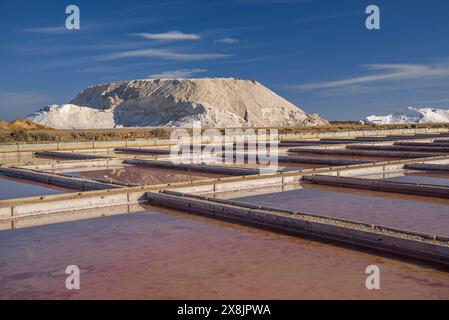 Vue extérieure des salines de Trinitat, à Punta de la Banya, dans le delta de l'Èbre (Tarragone, Catalogne, Espagne) ESP : Vista extérieur de unas salinas Banque D'Images