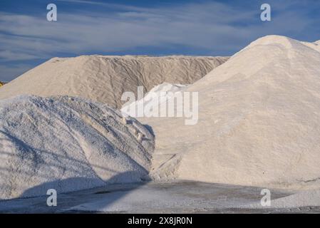 Montagnes de sel dans les salines de Trinitat, à Punta de la Banya, dans le delta de l'Èbre (Tarragone, Catalogne, Espagne) ESP Montaña de sal en unas salinas Banque D'Images