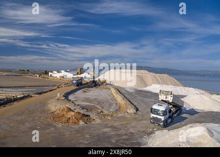 Montagnes de sel dans les salines de Trinitat, à Punta de la Banya, dans le delta de l'Èbre (Tarragone, Catalogne, Espagne) ESP Montaña de sal en unas salinas Banque D'Images