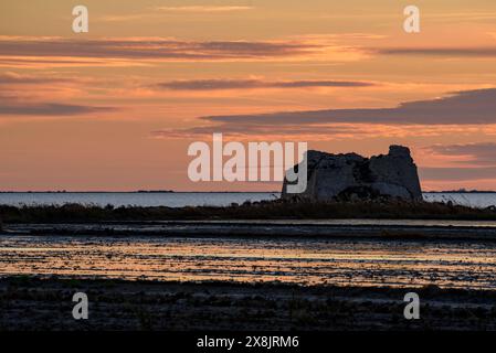 Tour Sant Joan, dans le delta de l'Èbre, sur un coucher de soleil d'hiver (Montsià, Tarragone, Catalogne, Espagne) ESP : Torre de Sant Joan, en el Delta del Ebro, España Banque D'Images