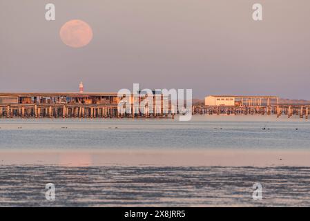 Coucher de soleil et lever de lune dans la baie de Fangar et son phare, dans le delta de l'Èbre (Tarragone, Catalogne, Espagne) ESP : Atardecer y salida de Luna, Bahía Alfaques Banque D'Images