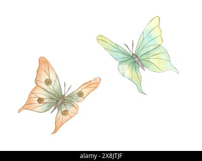 Papillons flottants décoratifs. Ensemble papillon. Pêche volante et insectes de couleur pastel jaune bleu avec contour doré. Illustration aquarelle. Banque D'Images