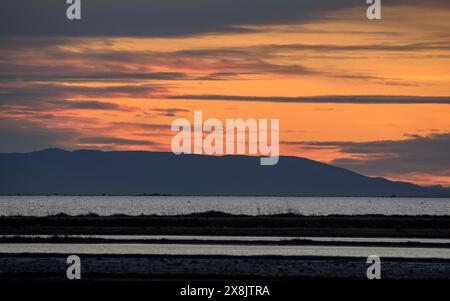 Coucher de soleil d'hiver derrière la chaîne de montagnes Irta vu du delta de l'Èbre (Montsià, Tarragone, Catalogne, Espagne) Banque D'Images