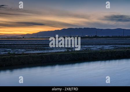 Coucher de soleil hivernal derrière la chaîne de montagnes Montsià vu du delta de l'Èbre (Montsià, Tarragone, Catalogne, Espagne) Banque D'Images