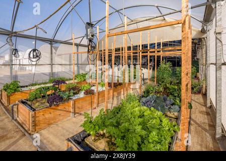 Jardin et serre du centre IRTA de la Ràpita, où diverses cultures agricoles sont étudiées (Delta de l'Èbre, Tarragone, Catalogne, Espagne) Banque D'Images