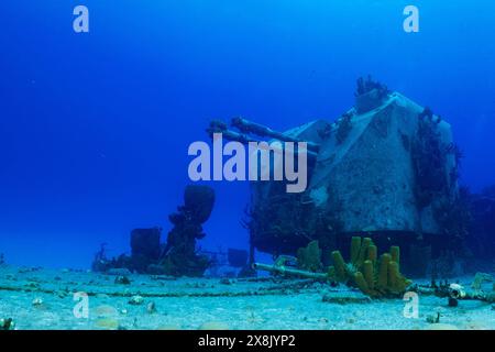 Stern fusils de l'épave de la frégate russe Captain Keith Tibbetts à Cayman Brac. Ce qui était autrefois une arme abrite maintenant des poissons de récif Banque D'Images